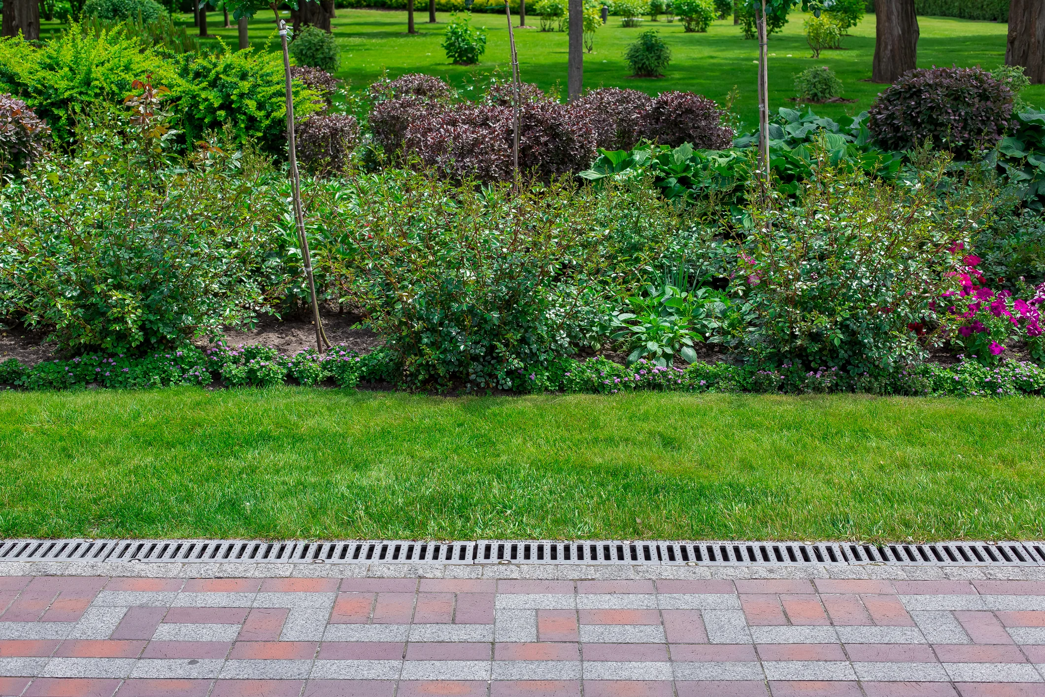 Outdoor trench drainage grate positioned between a paved path and a lush garden with shrubs and plants.
