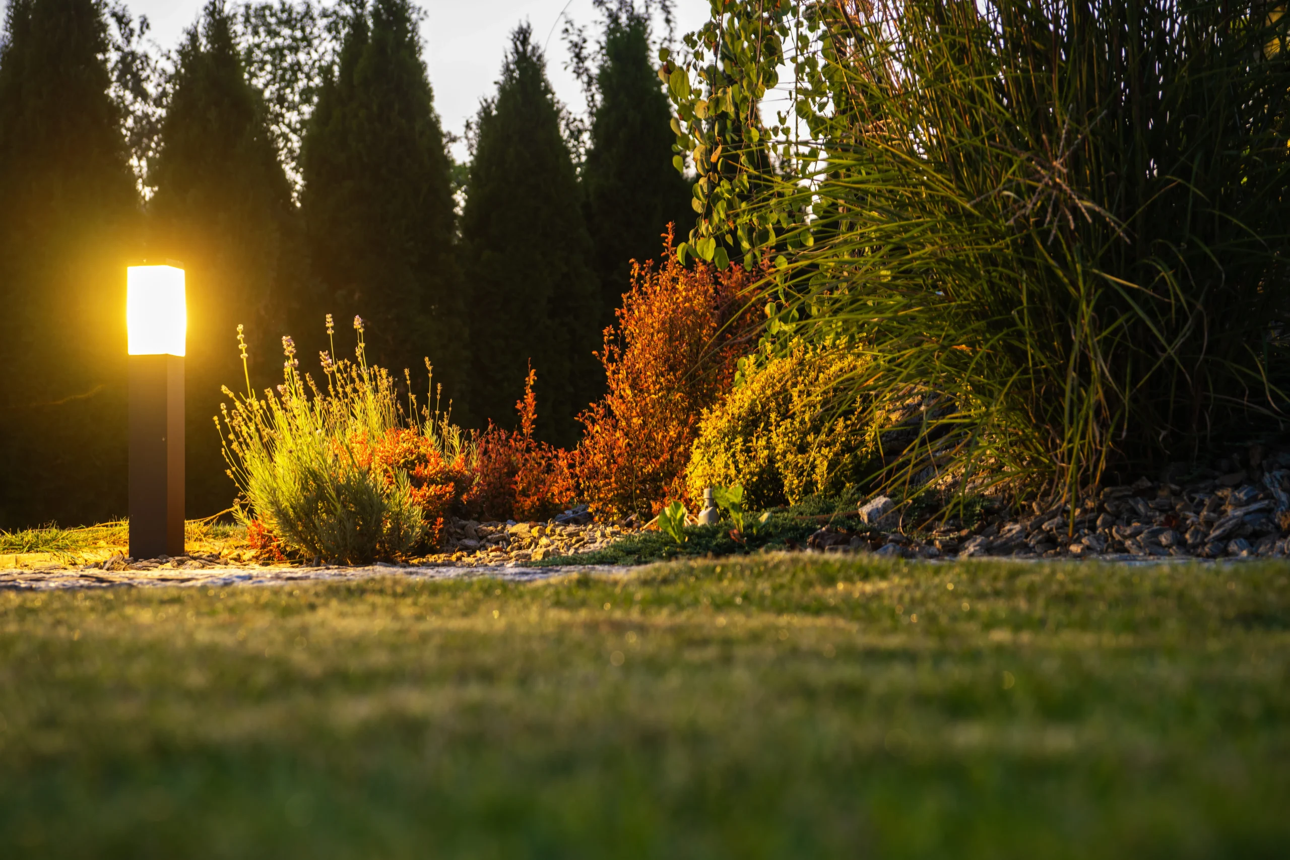 Modern landscape light glowing beside garden plants and lawn in a residential yard.
